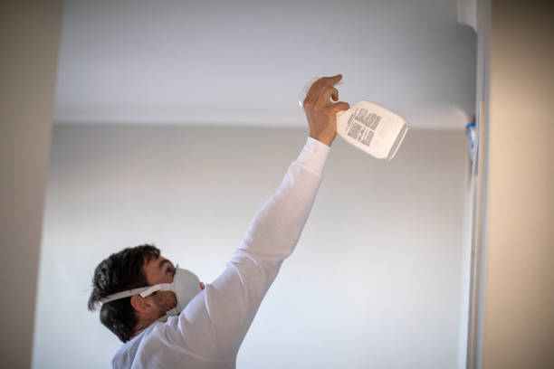 Best Fast Mold Removal  in Carson, WA