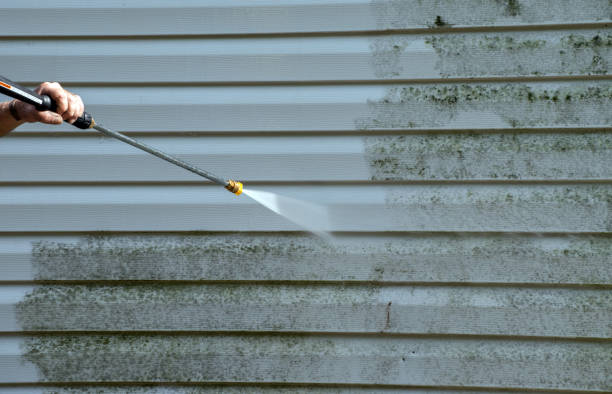 Mold Removal and Inspection in Carson, WA