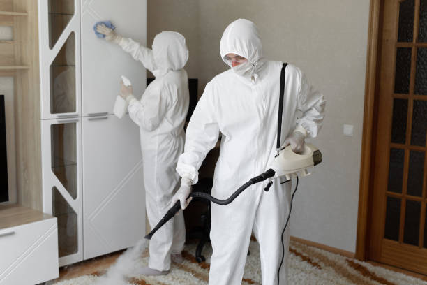 Crawl Space Mold Removal in Carson, WA