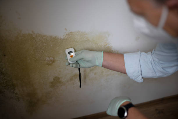 Best Mold Testing  in Carson, WA