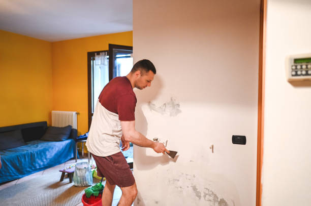 Best Emergency Mold Removal  in Carson, WA